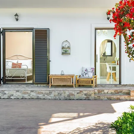 Patrinos * Alykanas (Zakynthos)