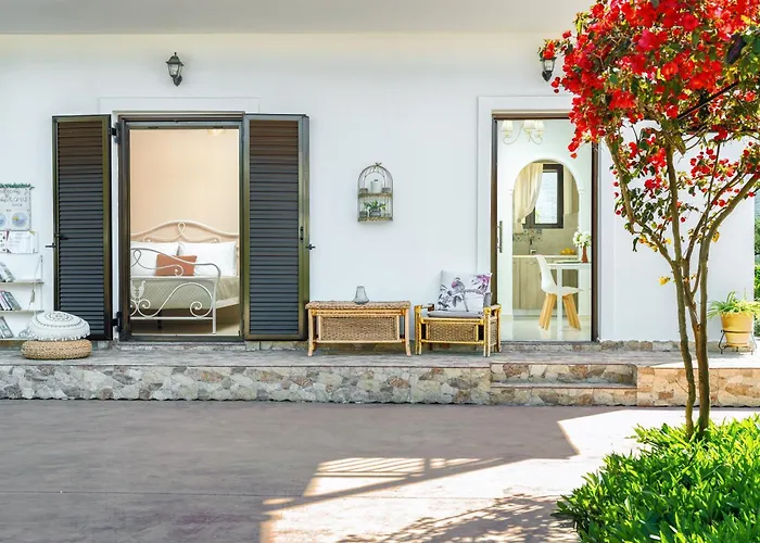 Patrinos * Alykanas (Zakynthos)